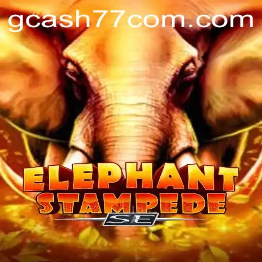 Exploring the Exciting World of ElephantStampedeSE: A Thrilling Adventure Awaits